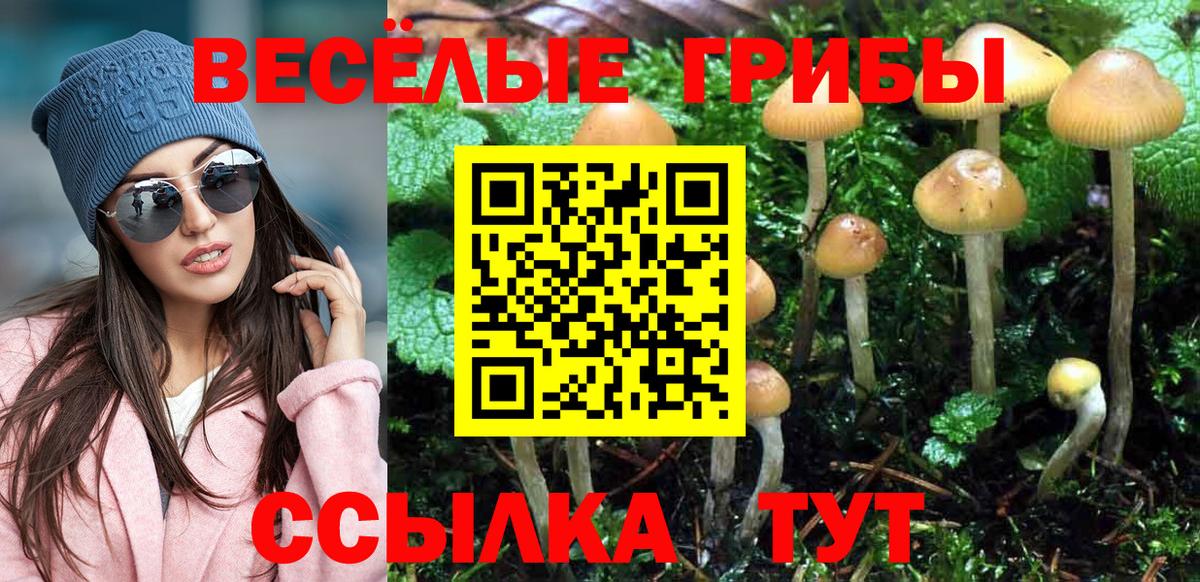 Псилоцибиновые грибы мухоморы Стрежевой