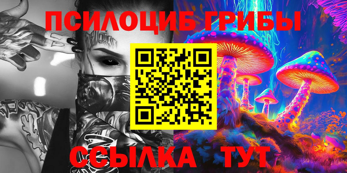 Стрежевой  Псилоцибиновые грибы мухоморы  Вход с VPN 